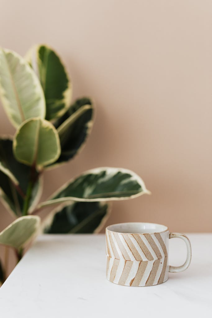 A stylish ceramic mug in a minimalist setting beside a green indoor plant.